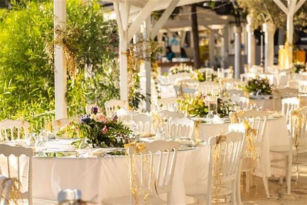 Bordkort i træ: Naturlig Elegance på Dine Festborde